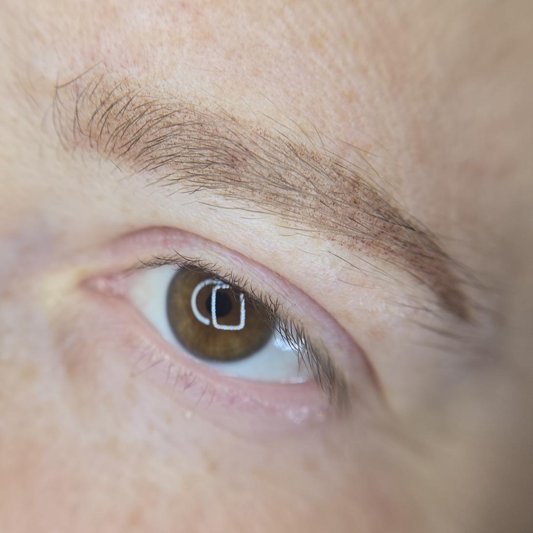 Powder brows result
