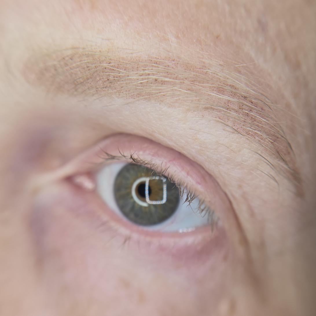 Powder brows result