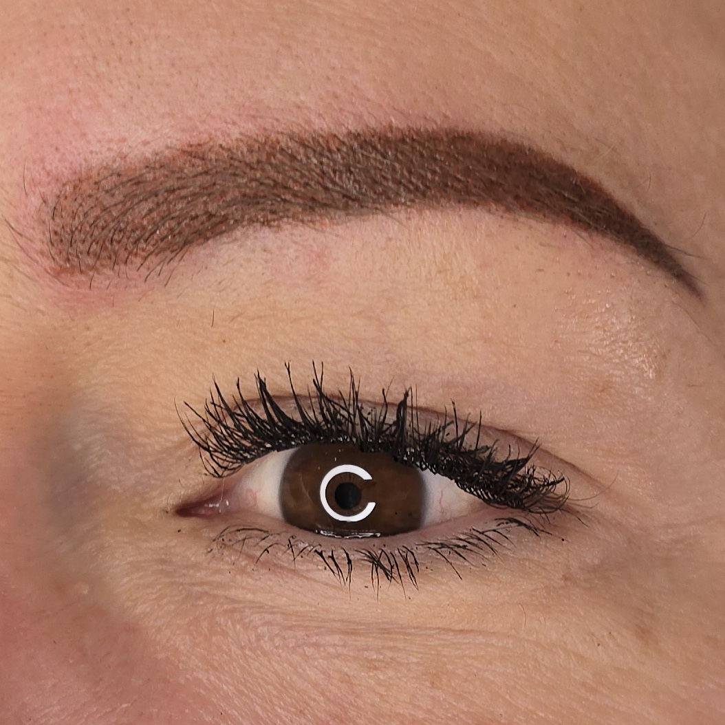 Powder brows result